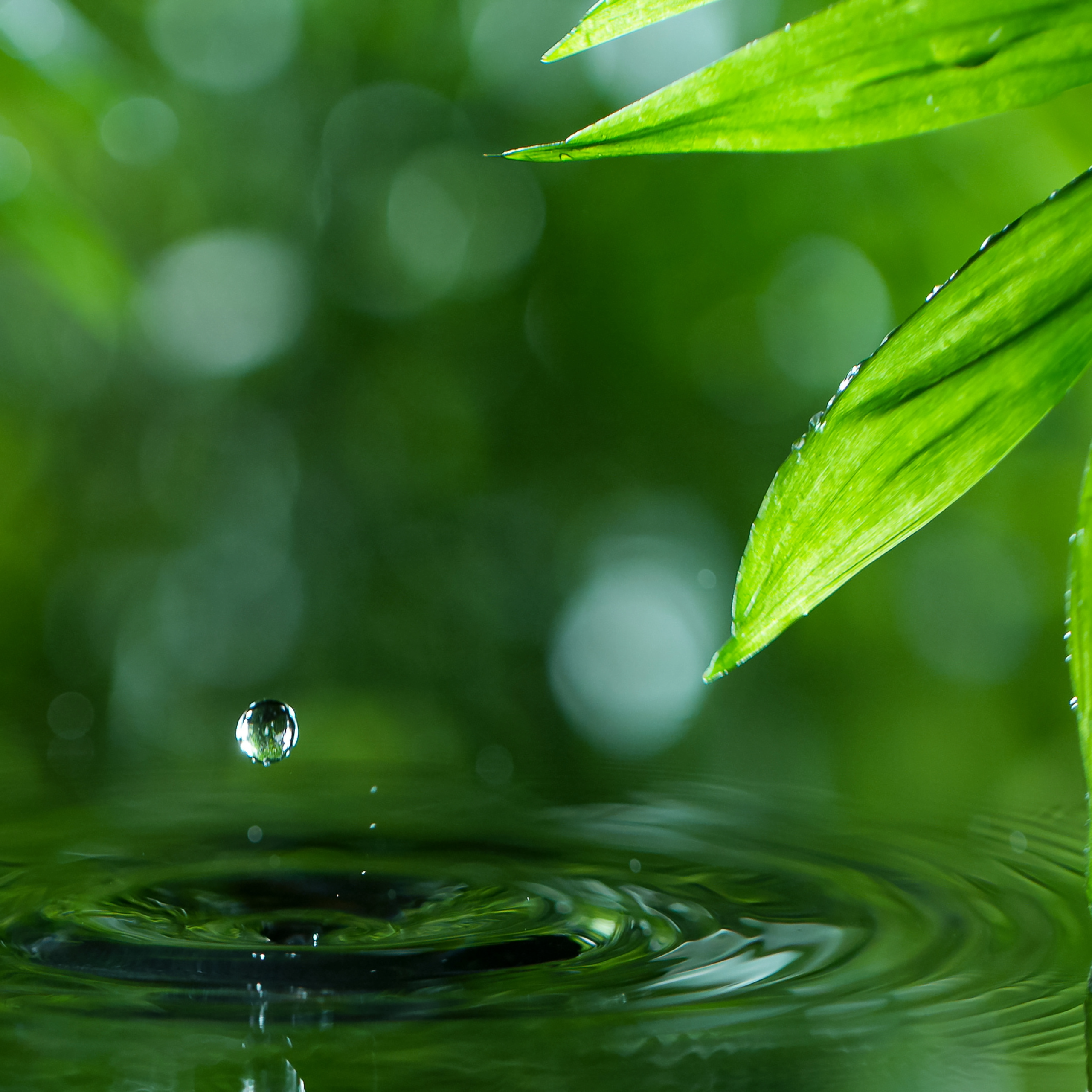 towels, essential oil, and a candle