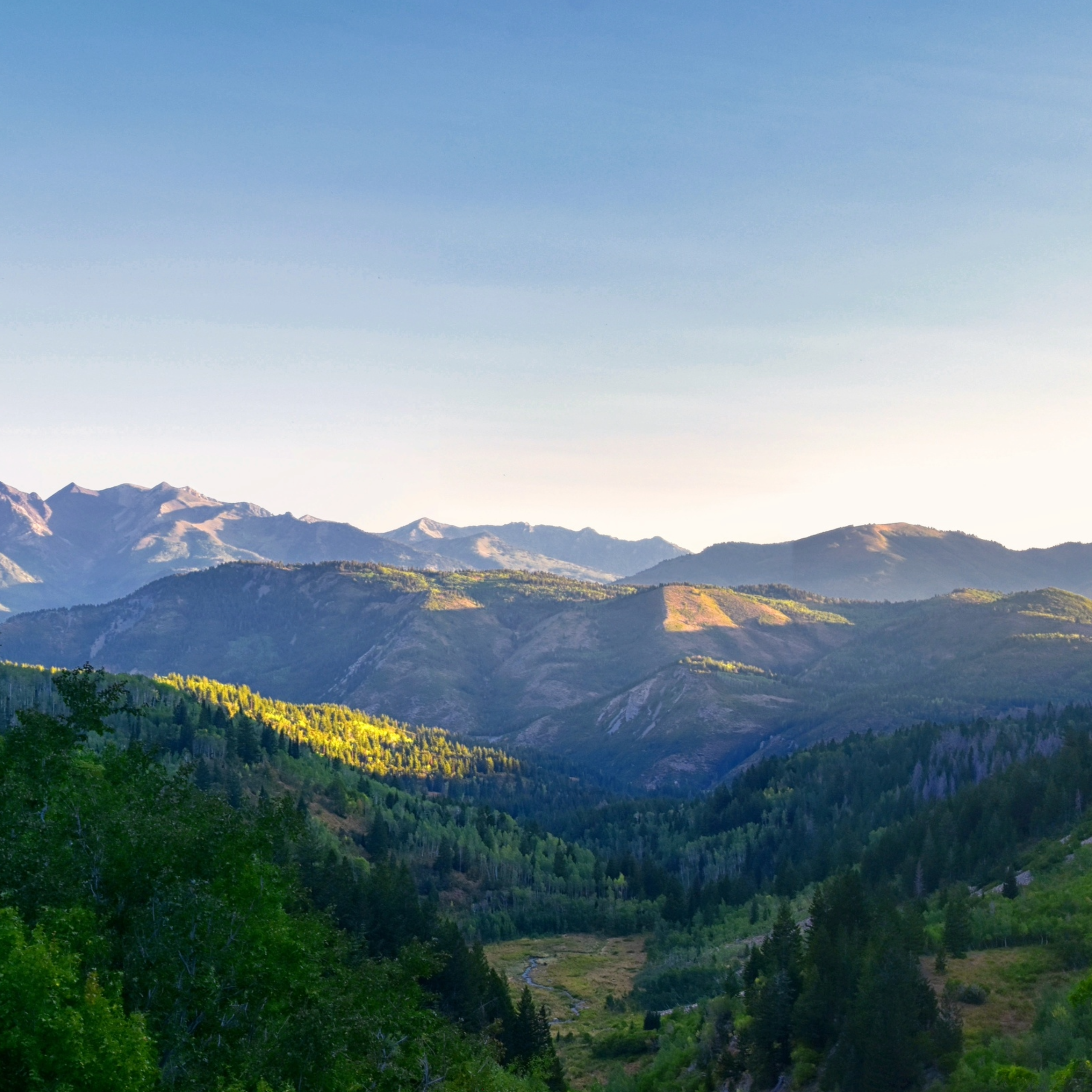 towels, essential oil, and a candle